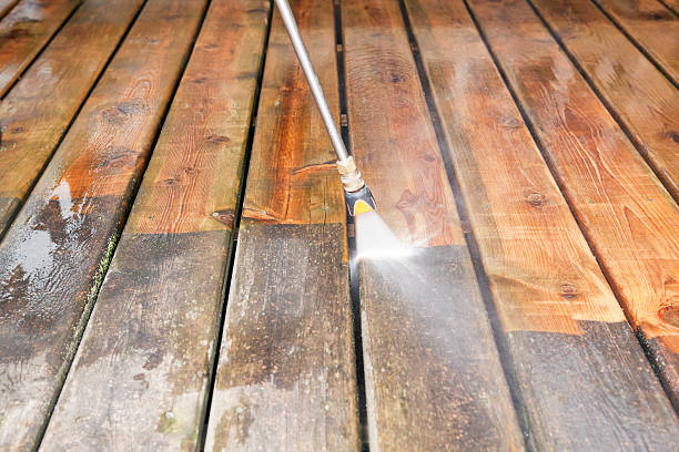 Trusted Arnold, MD Pressure Washing Services Experts